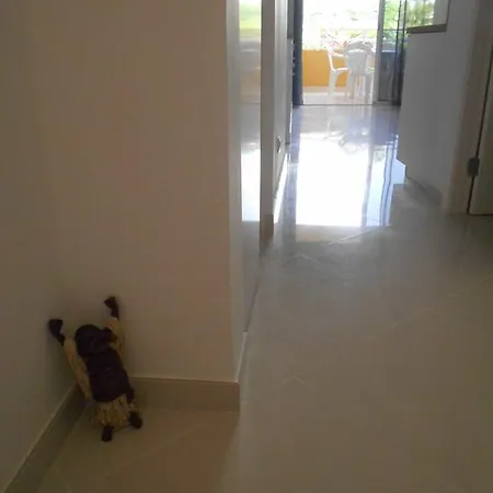 Orlando Apartamento